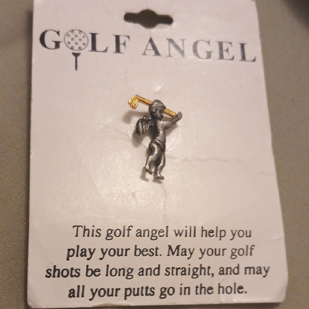Silver and Gold Pin